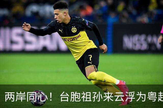 两岸同心！台胞祖孙来云浮为粤超助威