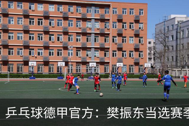 乒乓球德甲官方：樊振东当选赛季最佳 助队荣膺三冠王