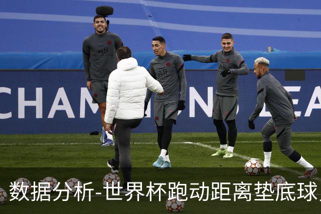 数据分析-世界杯跑动距离垫底球员竟是他 场均步行比例最高