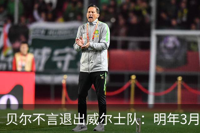 贝尔不言退出威尔士队：明年3月份再出发